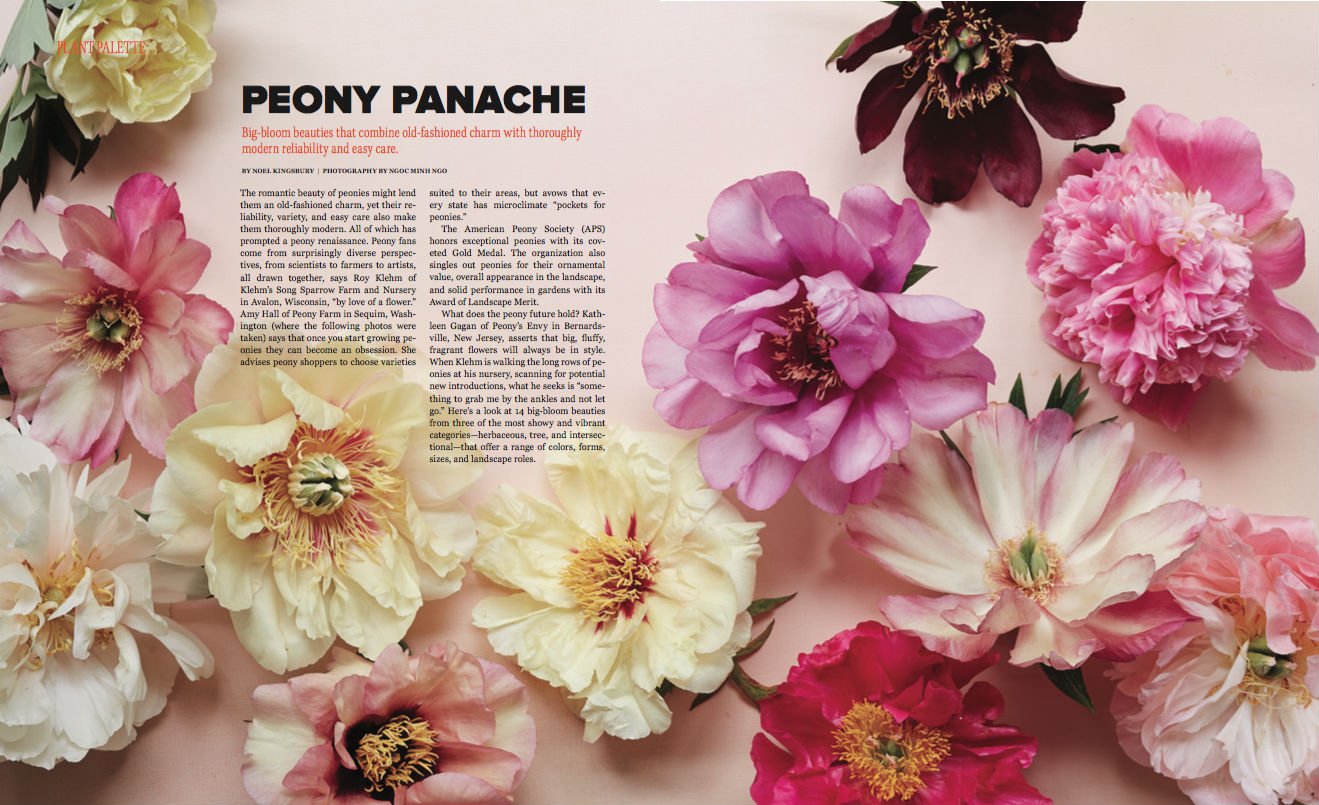 Peony Farm featured in Garden Design Magazine